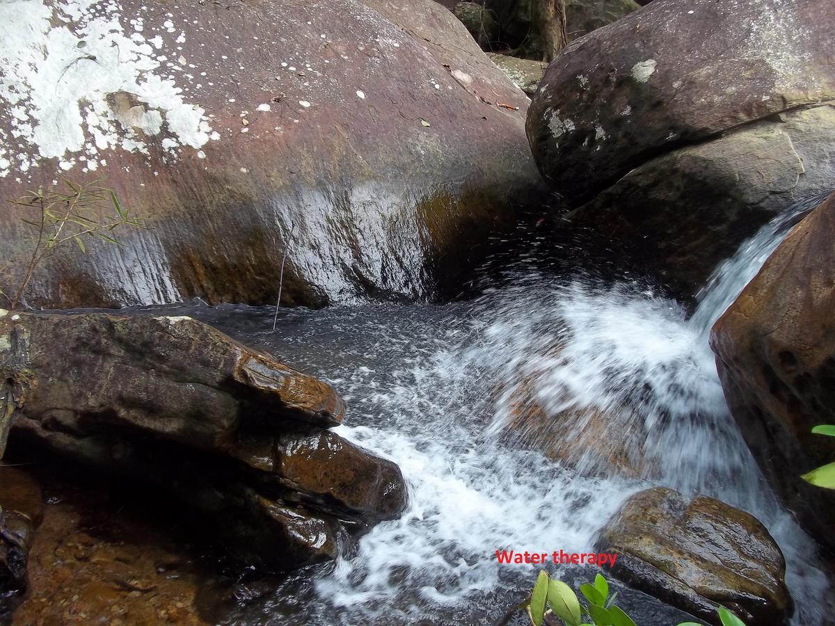 Girankiththa Eco Resort Kitulgala Exteriér fotografie
