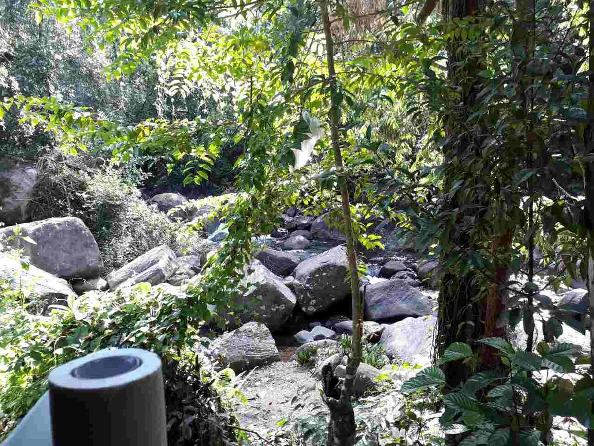 Girankiththa Eco Resort Kitulgala Exteriér fotografie