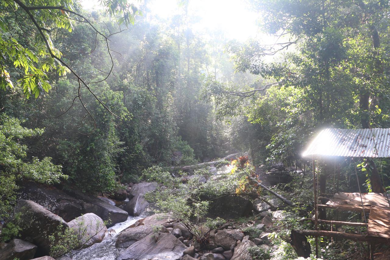 Girankiththa Eco Resort Kitulgala Exteriér fotografie