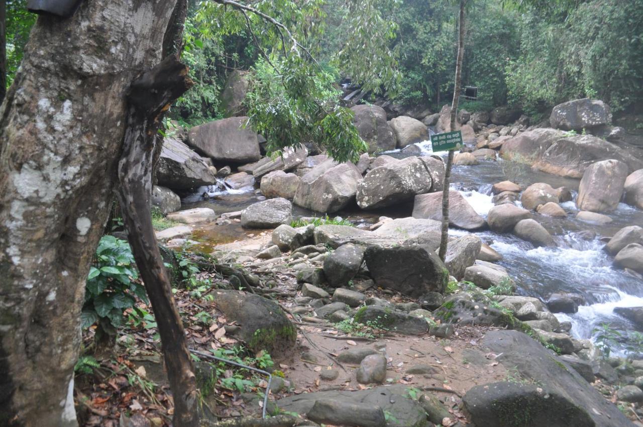 Girankiththa Eco Resort Kitulgala Exteriér fotografie