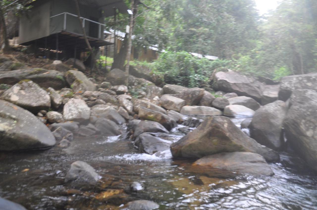 Girankiththa Eco Resort Kitulgala Exteriér fotografie